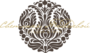 logo_SM_Темный